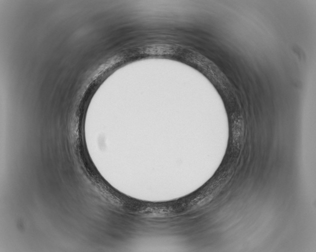 X0000110740727200907271101