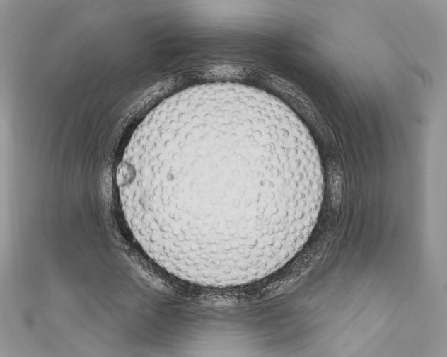 X0000110740729200907271101