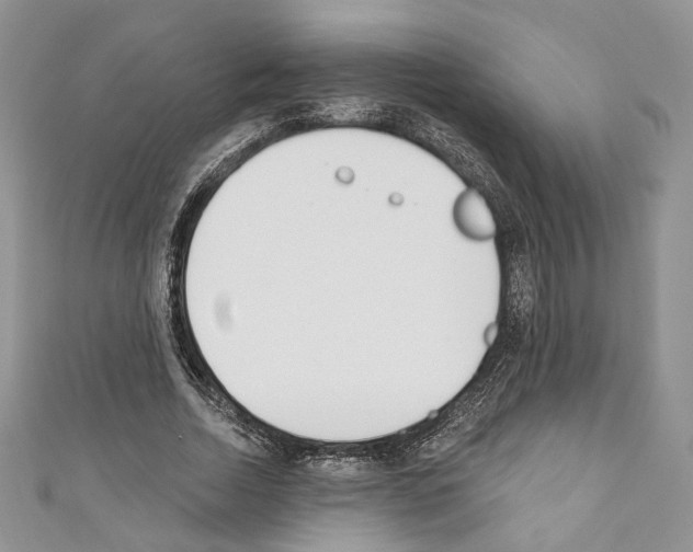 X0000110740730200907271101