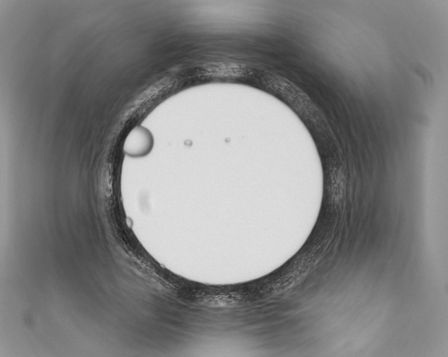 X0000110740731200907271101
