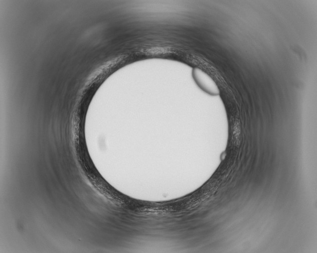 X0000110740732200907271101