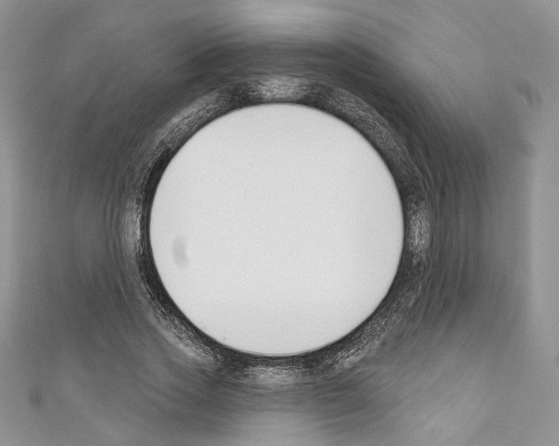 X0000110740733200907271101