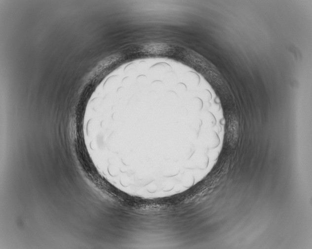 X0000110740734200907271101