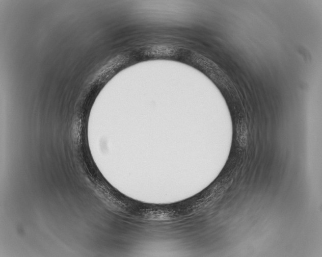 X0000110740735200907271101