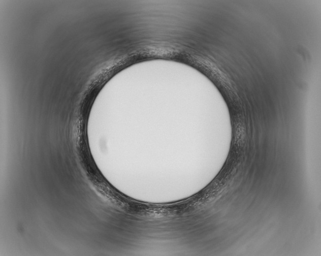 X0000110740736200907271101
