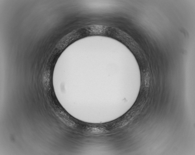 X0000110740737200907271101