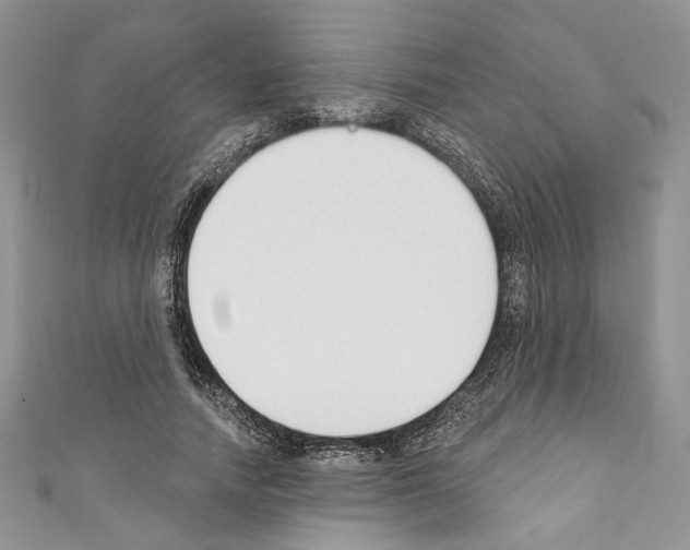 X0000110740738200907271101