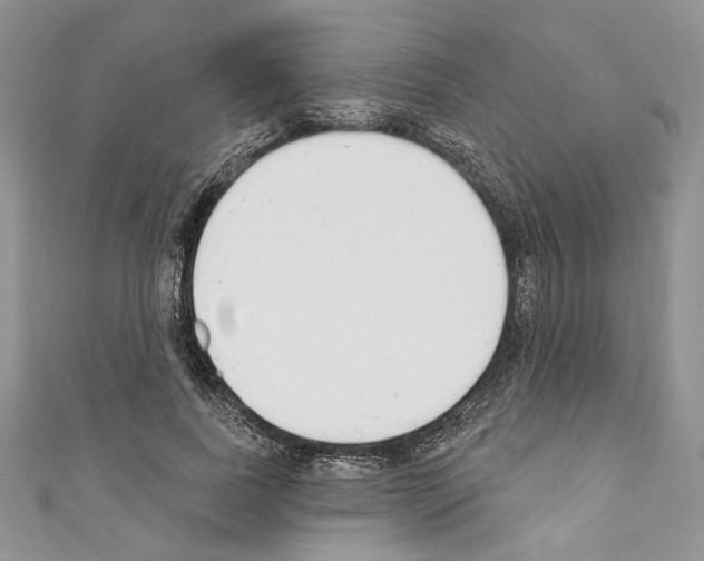 X0000110740739200907271101