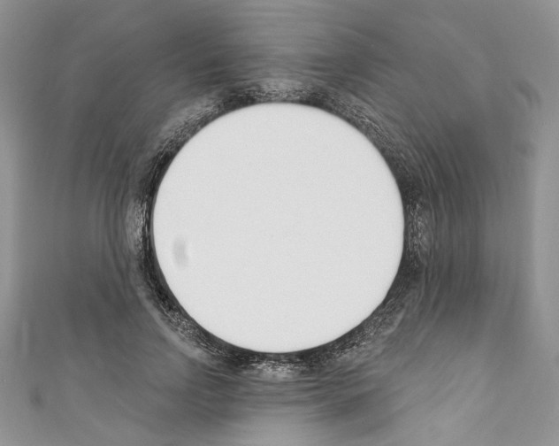 X0000110740742200907271101