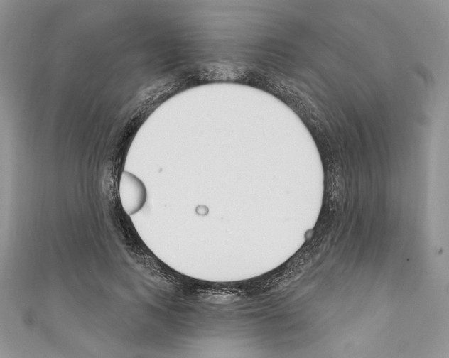 X0000110740743200907271101