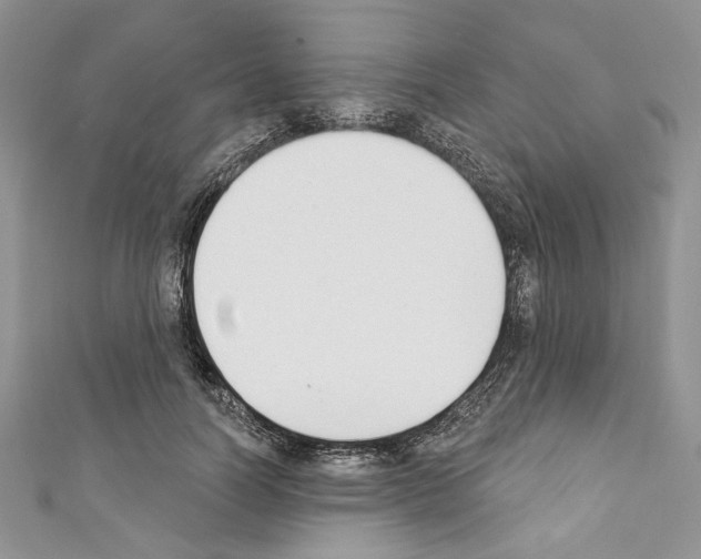 X0000110740746200907271101