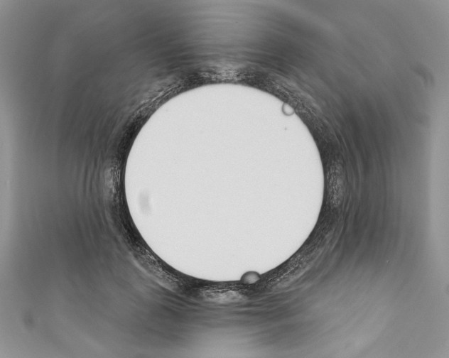 X0000110740747200907271101