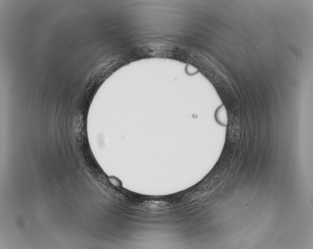 X0000110740748200907271101