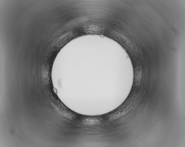 X0000110740749200907271101