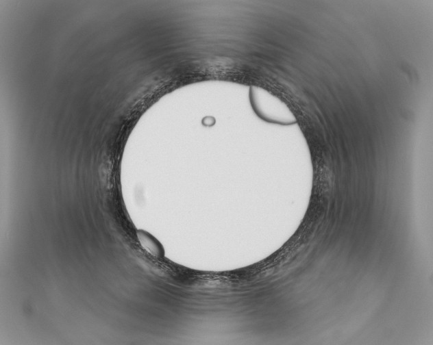 X0000110740750200907271101