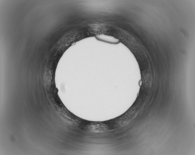 X0000110740752200907271101