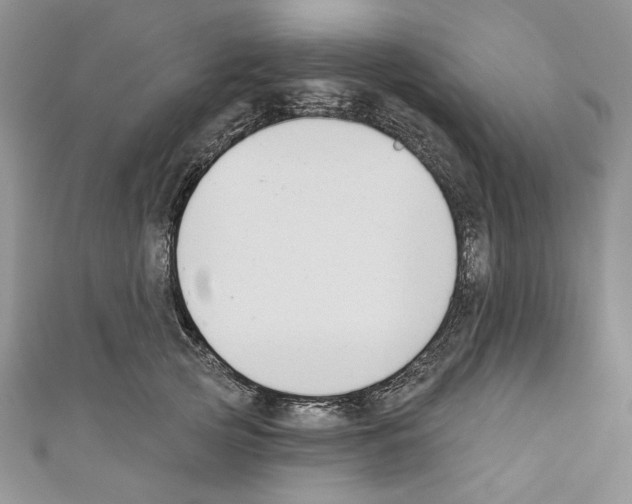 X0000110740753200907271101