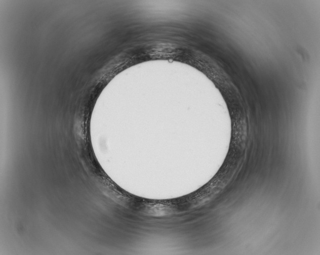 X0000110740755200907271101