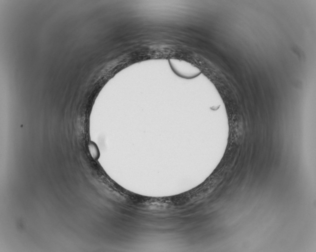 X0000110740756200907271101