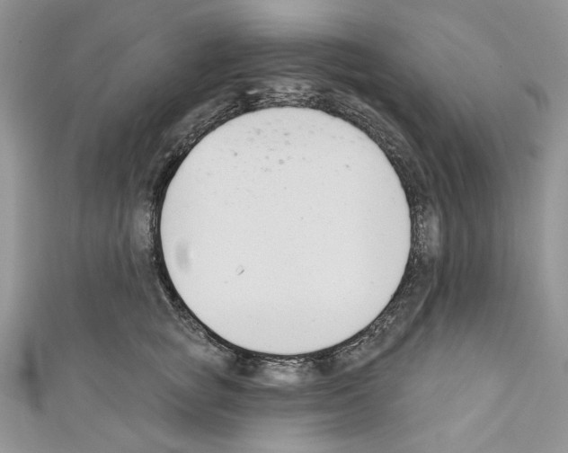 X0000110740757200907271101