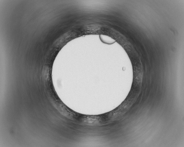 X0000110740758200907271101