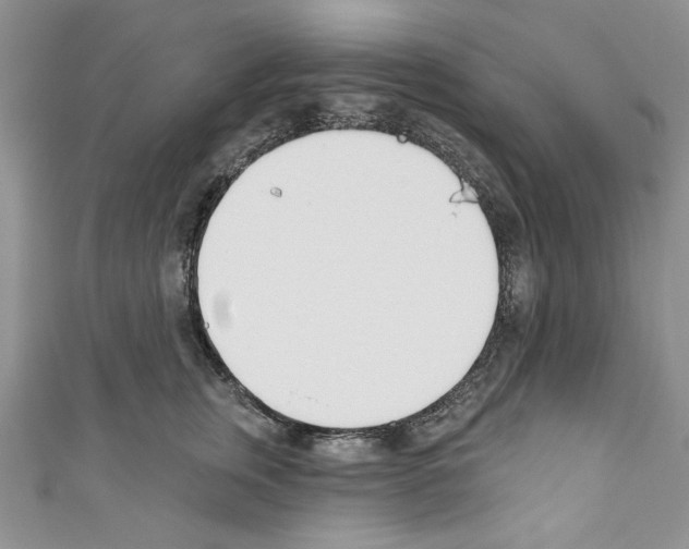 X0000110740759200907271101
