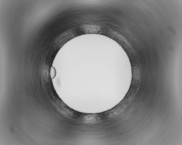 X0000110740761200907271101