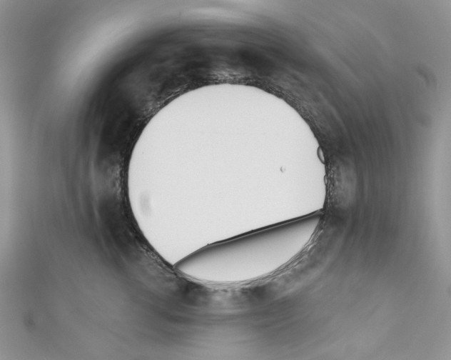 X0000110740762200907271101