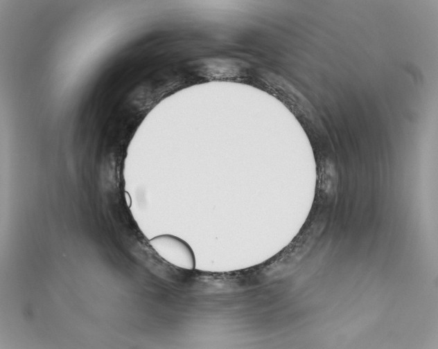 X0000110740763200907271101