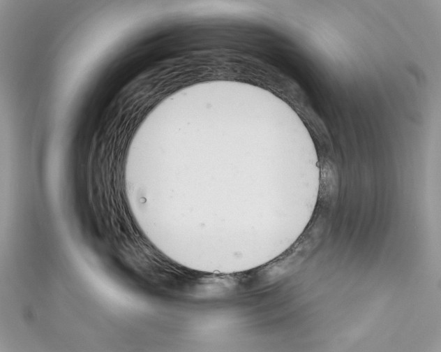X0000110740765200907271101