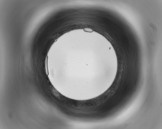 X0000110740766200907271101