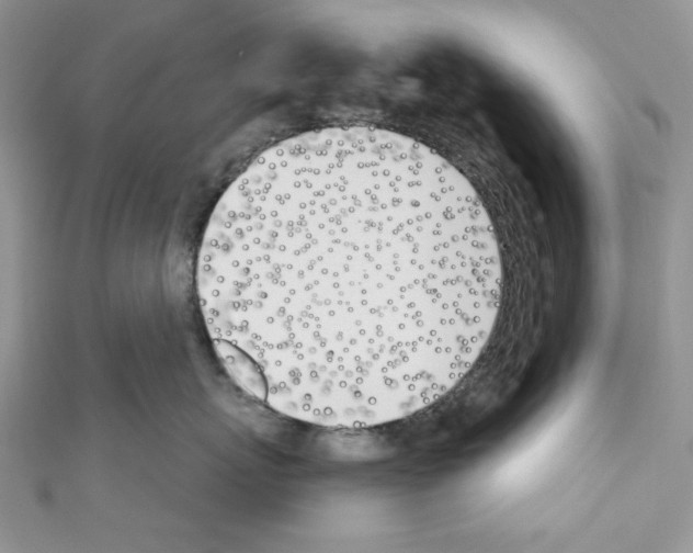 X0000110740767200907271101