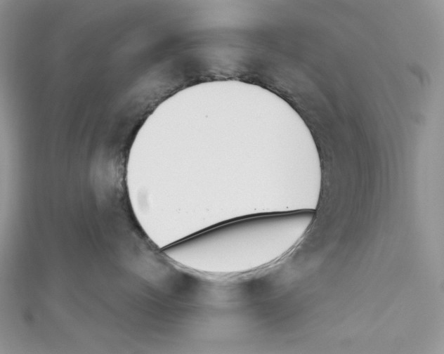 X0000110740768200907271101