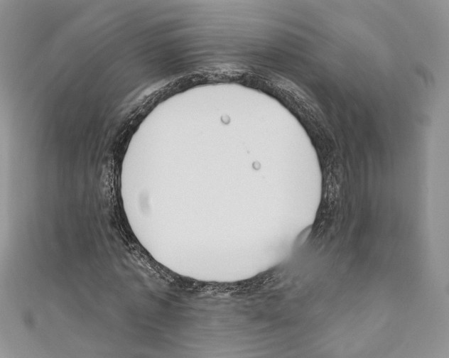 X0000110740773200907271101