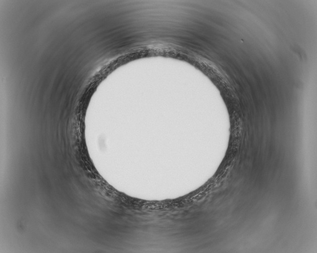 X0000110740776200907271101