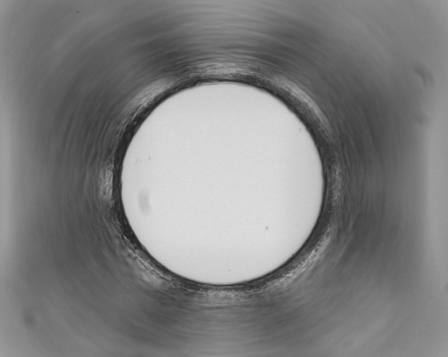 X0000110740777200907271101