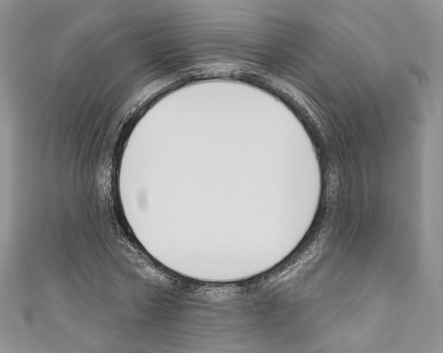 X0000110740778200907271101
