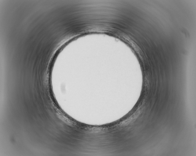 X0000110740779200907271101
