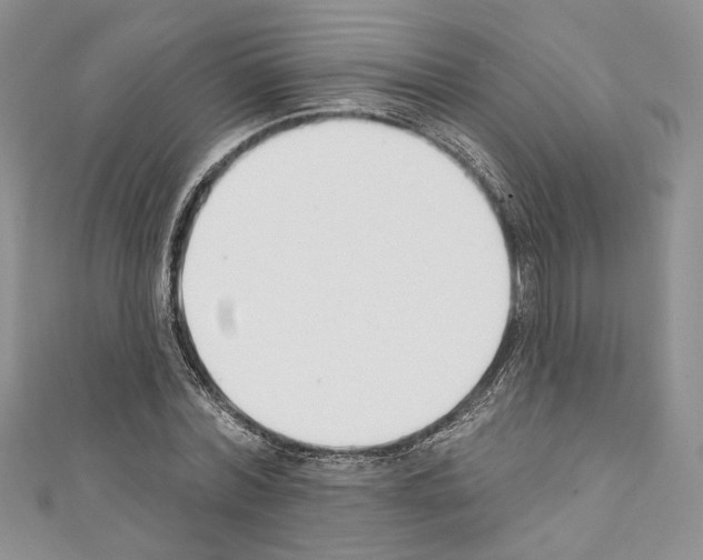 X0000110740780200907271101