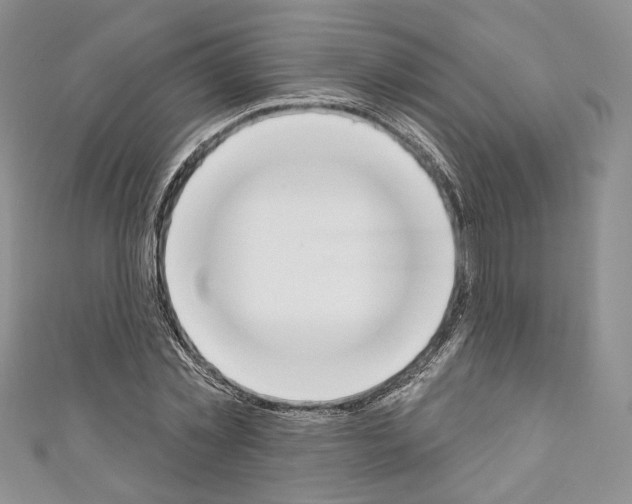 X0000110740781200907271101