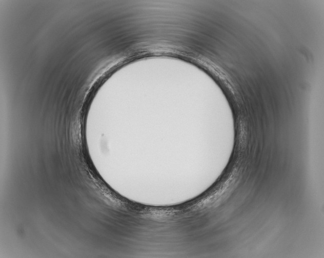 X0000110740782200907271100