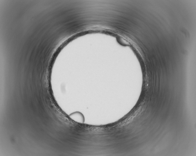 X0000110740783200907271100
