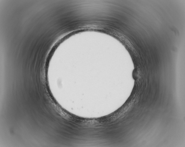 X0000110740784200907271100