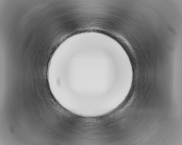 X0000110740785200907271100