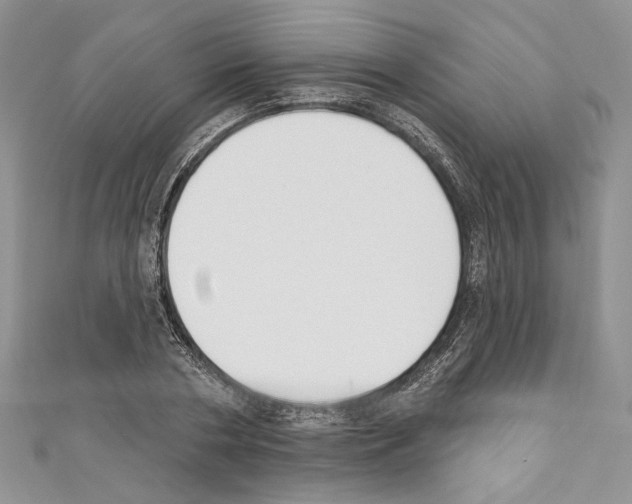 X0000110740786200907271100
