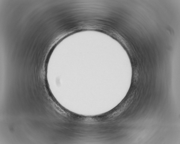 X0000110740787200907271100