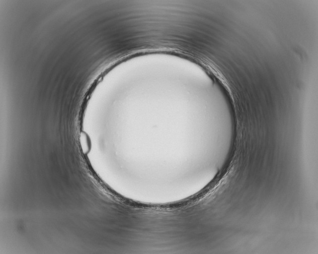 X0000110740789200907271100