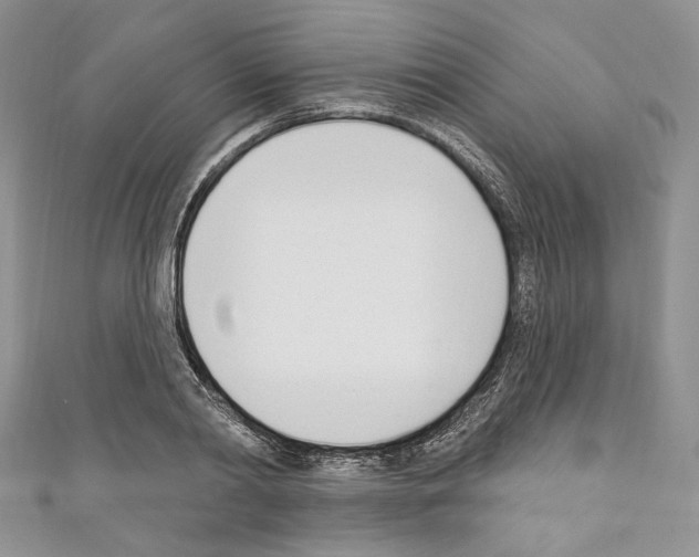 X0000110740790200907271100