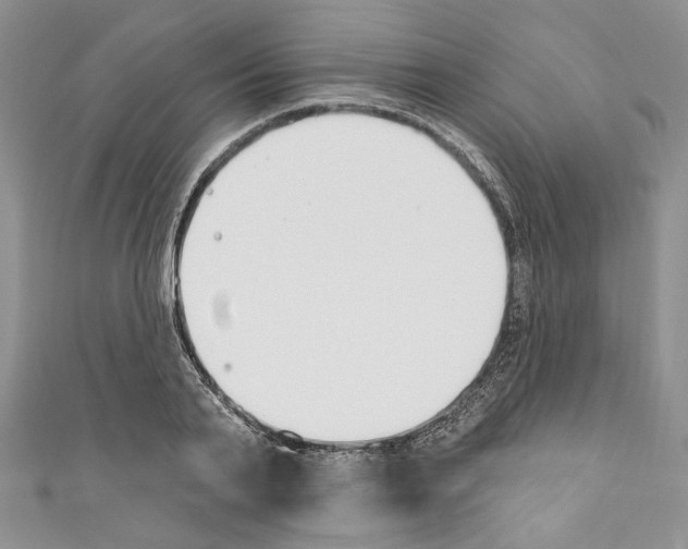 X0000110740791200907271100