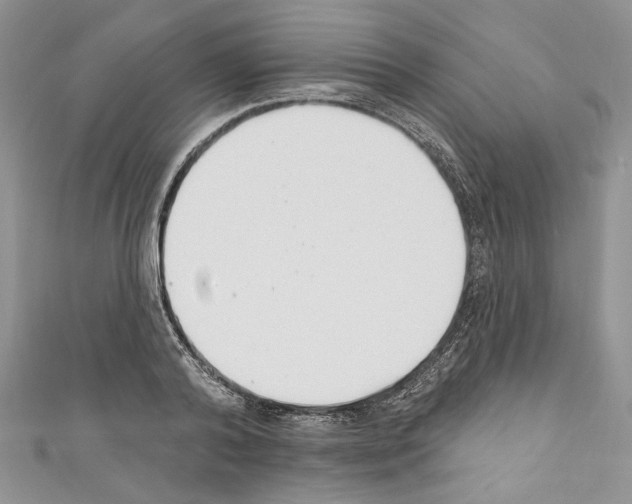 X0000110740792200907271100